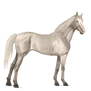 cavallo da corsa akhal-teke castano