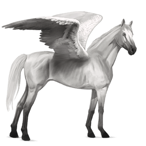 pegaso da corsa purosangue inglese grigio chiaro