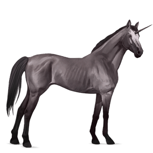 unicorno da corsa baio