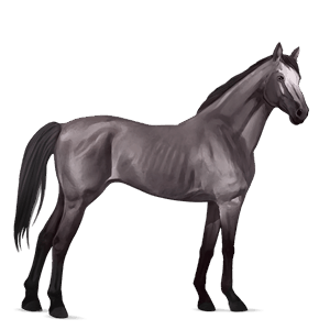 cavallo da corsa grigio pezzato