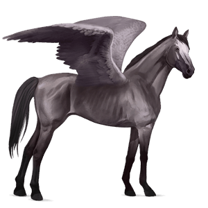 pegaso da corsa purosangue inglese castano