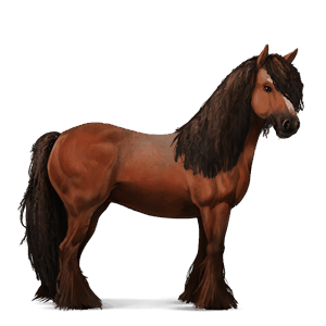 cavallo da corsa hanoverian castano