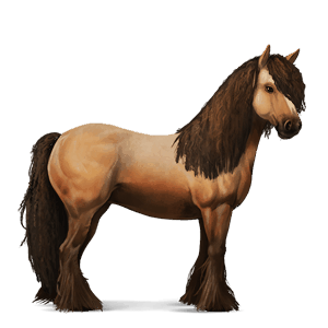 cavallo da corsa gypsy vanner nero