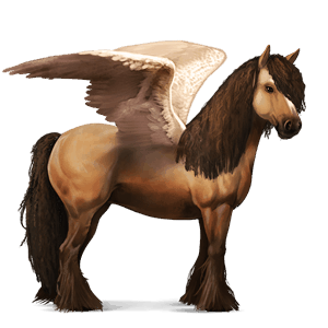 pegaso da corsa gypsy vanner baio