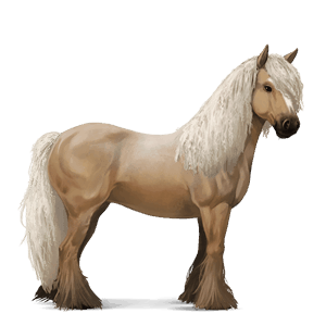 cavallo da corsa gypsy vanner tobiano grigio pezzato