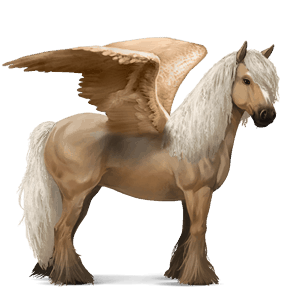 pegaso da corsa gypsy vanner tobiano baio scuro