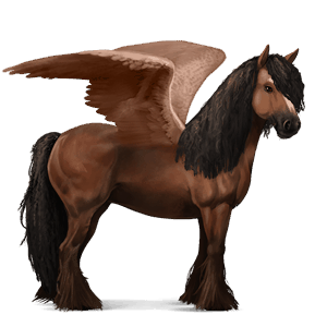 pegaso da corsa gypsy vanner baio