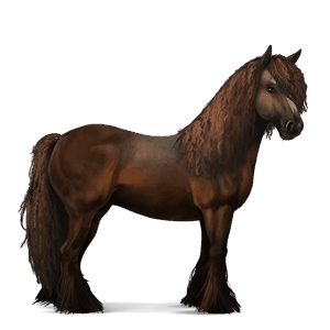 cavallo da corsa gypsy vanner tobiano pinto baio chiaro