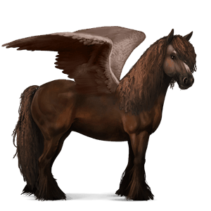 pegaso da corsa gypsy vanner tobiano baio scuro