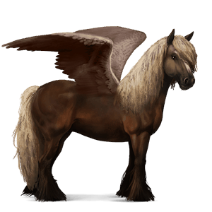 pegaso da corsa gypsy vanner tobiano baio