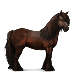 cavallo da corsa purosangue inglese castano scuro