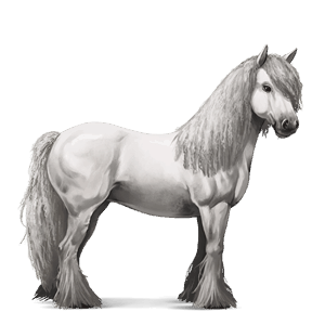 cavallo da corsa mustang castano scuro