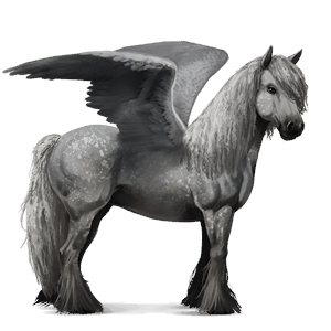 pegaso da corsa cavallo arabo roano