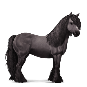 cavallo da corsa gypsy vanner tobiano grullo