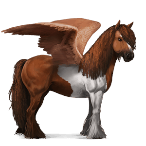 pegaso da corsa gypsy vanner tobiano baio