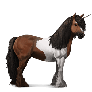 unicorno da corsa gypsy vanner tobiano baio