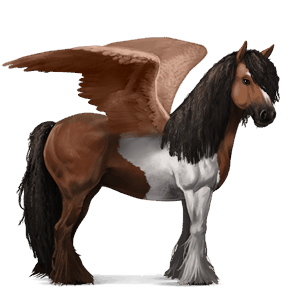 pegaso da corsa gypsy vanner tobiano baio