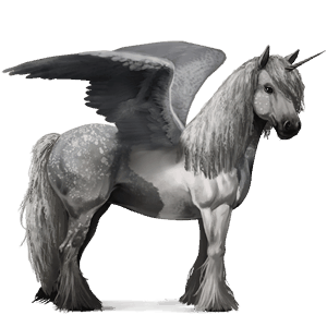 unicorno da corsa alato gypsy vanner tobiano grigio pezzato