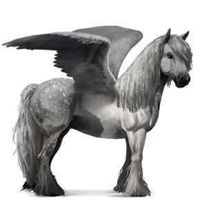 pegaso da corsa gypsy vanner tobiano grigio pezzato