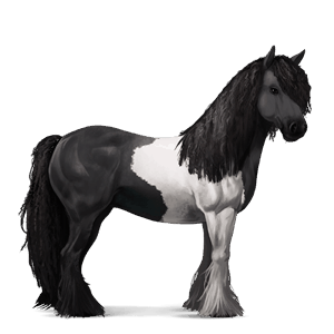 cavallo da corsa gypsy vanner tobiano pinto baio chiaro