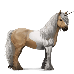 unicorno da corsa gypsy vanner tobiano palomino