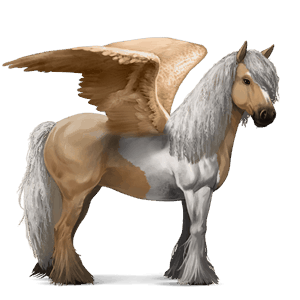 pegaso da corsa gypsy vanner tobiano palomino