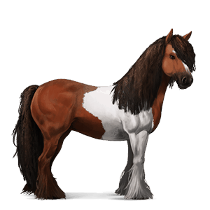 cavallo da corsa marwari tobiano castano scuro