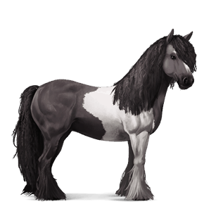cavallo da corsa appaloosa leopard nero