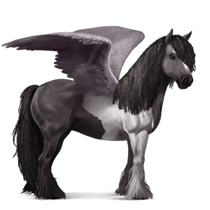 pegaso da corsa tobiano grullo