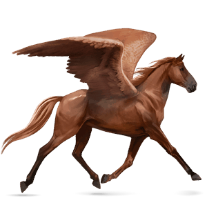 pegaso da corsa trottatore francese castano