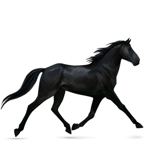 cavallo da corsa trottatore francese baio scuro