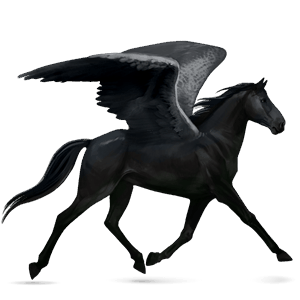 pegaso da corsa trottatore francese baio rossastro