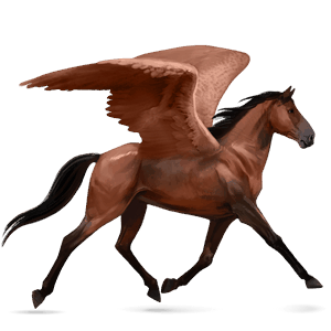 pegaso da corsa trottatore francese baio scuro