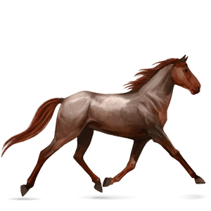 cavallo da corsa grigio pezzato