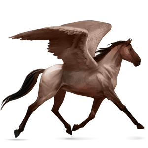 pegaso da corsa cavallo arabo roano