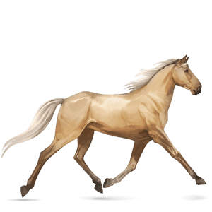 cavallo da corsa purosangue inglese palomino