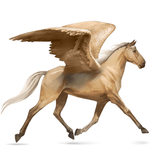 pegaso da corsa lusitano baio
