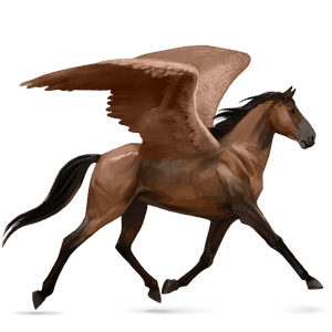 pegaso da corsa trottatore francese baio