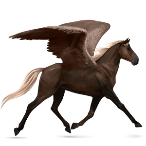 pegaso da corsa castano