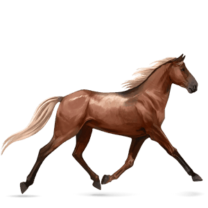 cavallo da corsa trottatore francese castano biondo platino