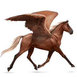 pegaso da corsa baio rossastro