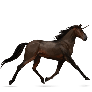 unicorno da corsa castano scuro