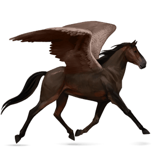pegaso da corsa tennessee walker baio scuro