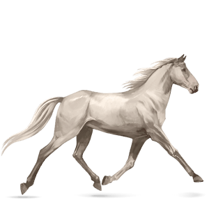 cavallo da corsa purosangue inglese baio rossastro