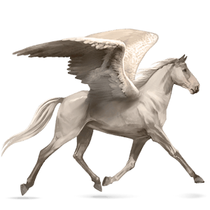 pegaso da corsa hanoverian grigio pezzato
