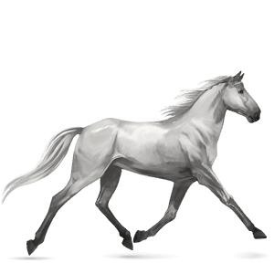 cavallo da corsa tennessee walker grigio chiaro