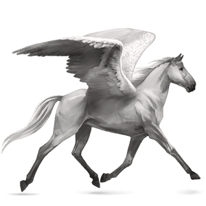pegaso da corsa trottatore francese grigio pezzato