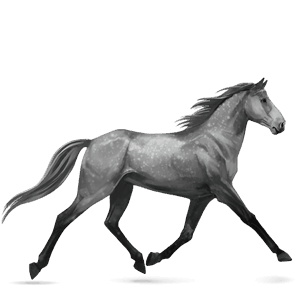 cavallo da corsa hanoverian castano scuro
