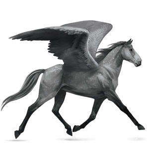 pegaso da corsa trottatore francese grigio pezzato