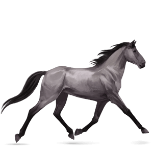 cavallo da corsa nokota roano